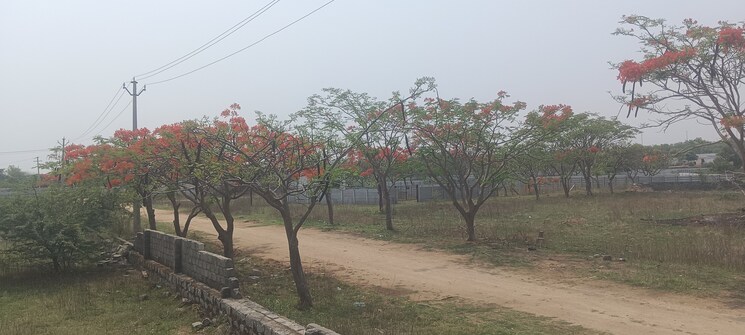 undefined, shamshabad  200 Sq.Yd. Plot In Shamshabad Hyderabad 8661860