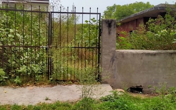 Plot For Sale in Sigma Ii Greater Noida
