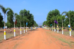  Plot For Sale in Nuzividu