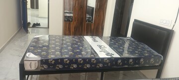  Pg For Rent in Ghansoli