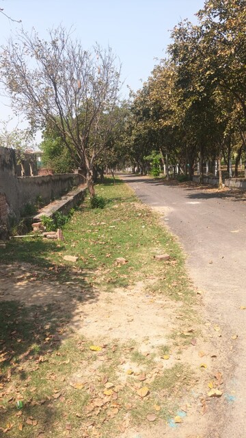  Plot – Exterior View View at Sigma Ii Greater Noida - for Sale
