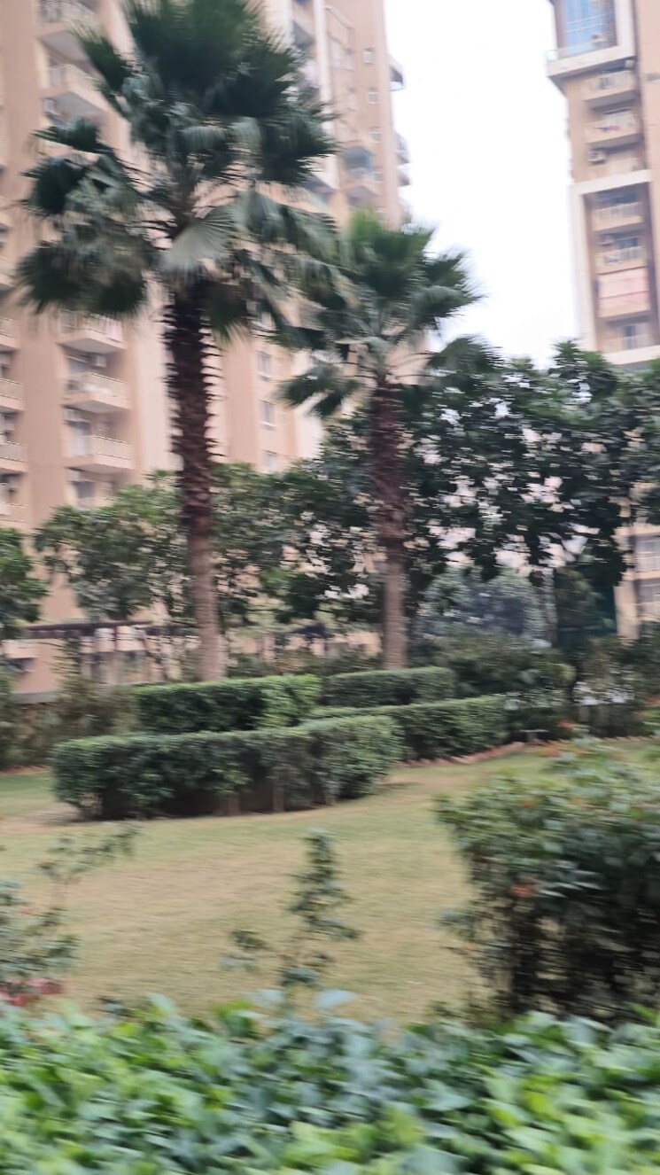 Garden, dlf-the-primus 4 Bedroom 2273 Sq.Ft. Apartment In Sector 82a Gurgaon 8662879