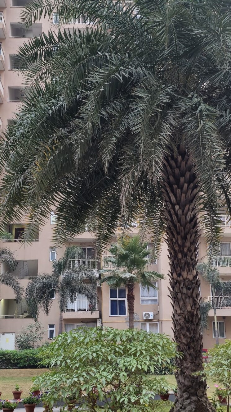 Exterior View, dlf-the-primus 4 Bedroom 2273 Sq.Ft. Apartment In Sector 82a Gurgaon 8662879