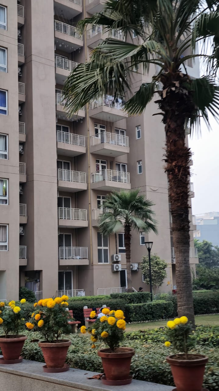 4 BHK + Pooja Room Apartment For Sale in DLF The Primus