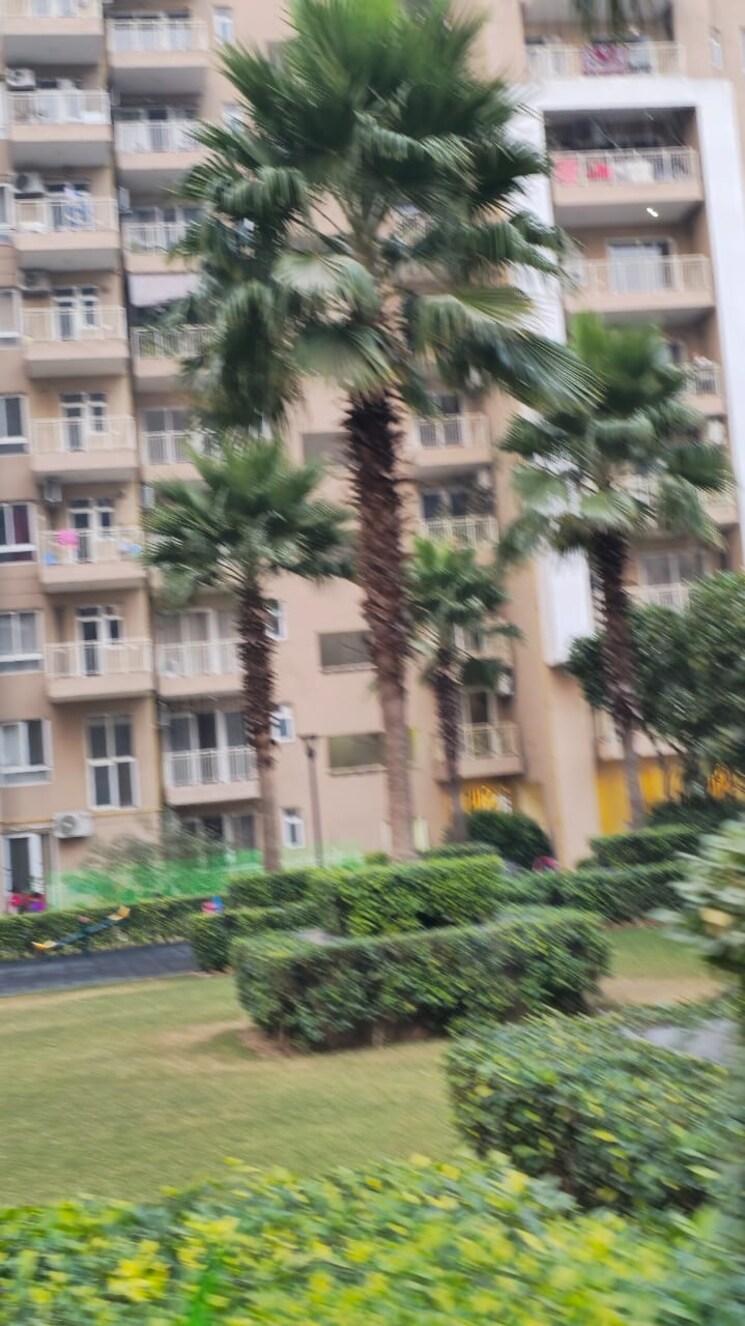 Exterior View, dlf-the-primus 4 Bedroom 2273 Sq.Ft. Apartment In Sector 82a Gurgaon 8662944