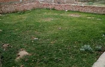 Plot For Sale in Sector 69