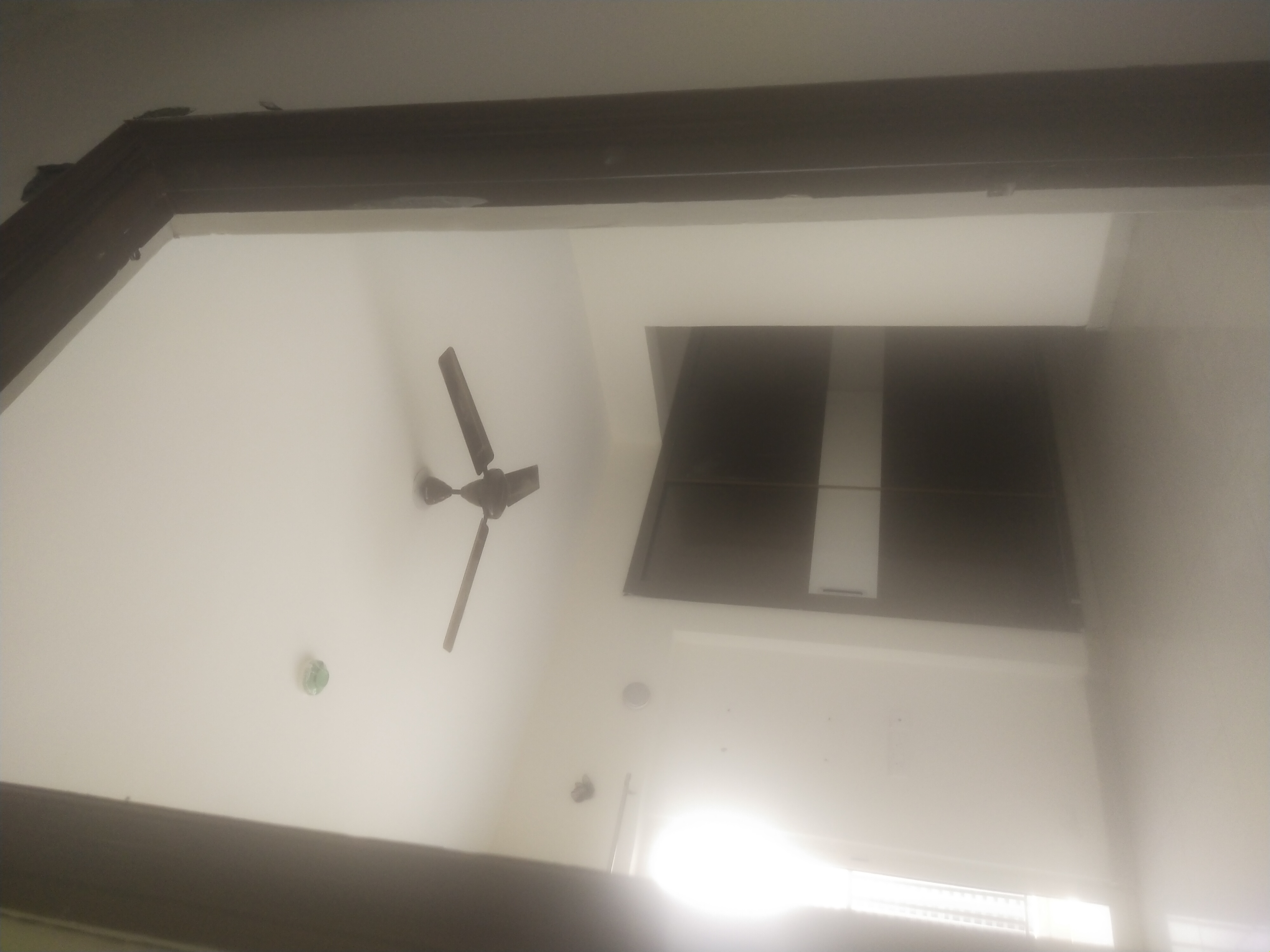 3 BHK + Extra Room Apartment For Rent in Panchsheel Greens