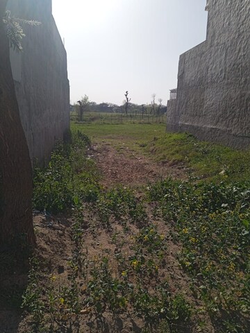 Plot Area in  Plot at Sector 110 – for Sale