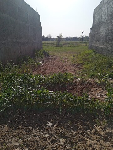 Plot Area in  Plot at Sector 110 – for Sale