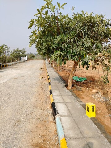 Plot Area in  Plot at Shadnagar – for Sale