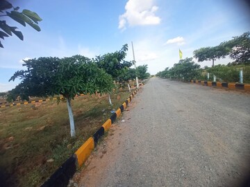 Plot Area in  Plot at Shadnagar – for Sale