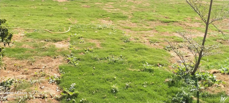 Garden, shadnagar  103 Sq.Yd. Plot In Shadnagar Hyderabad 8663486