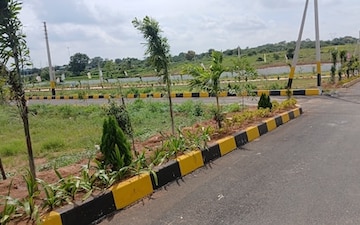 Plot For Sale in Sector 116