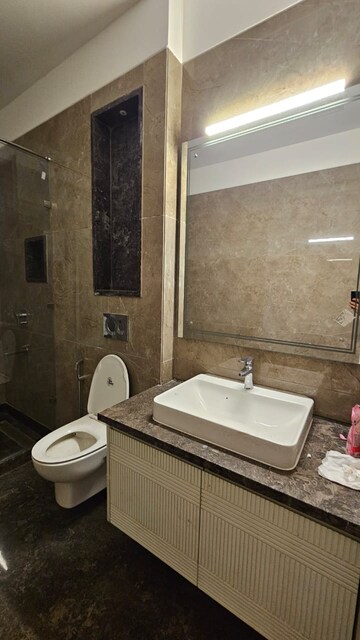 Bathroom in 4 BHK Apartment at Green Park – for Rent