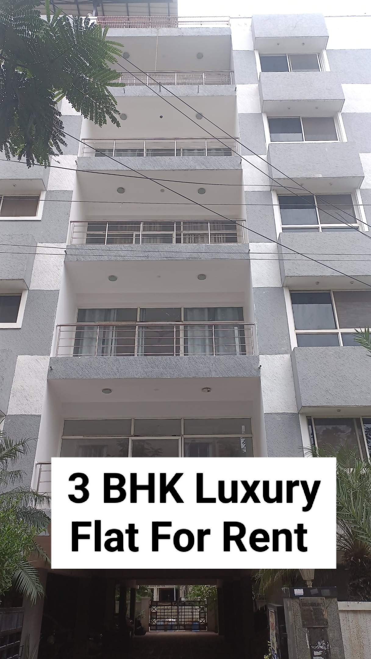 3 BHK Apartment For Rent in Kondapur