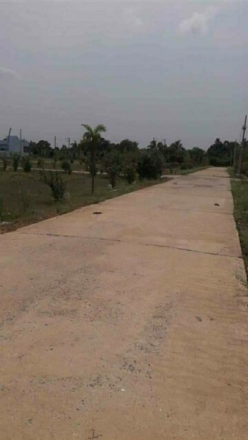 Plot Area in  Plot at Katangi – for Sale