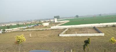 Plot For Sale in Sec 143