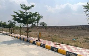 Plot For Sale in Sector 151