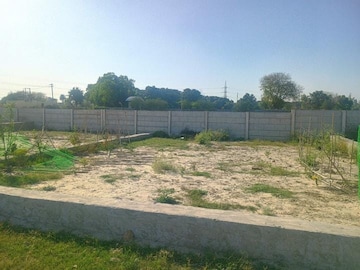  Plot For Sale in Sector 151