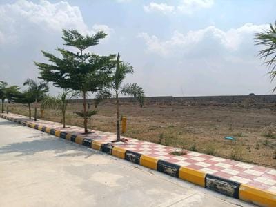 Plot For Sale in Sector 151