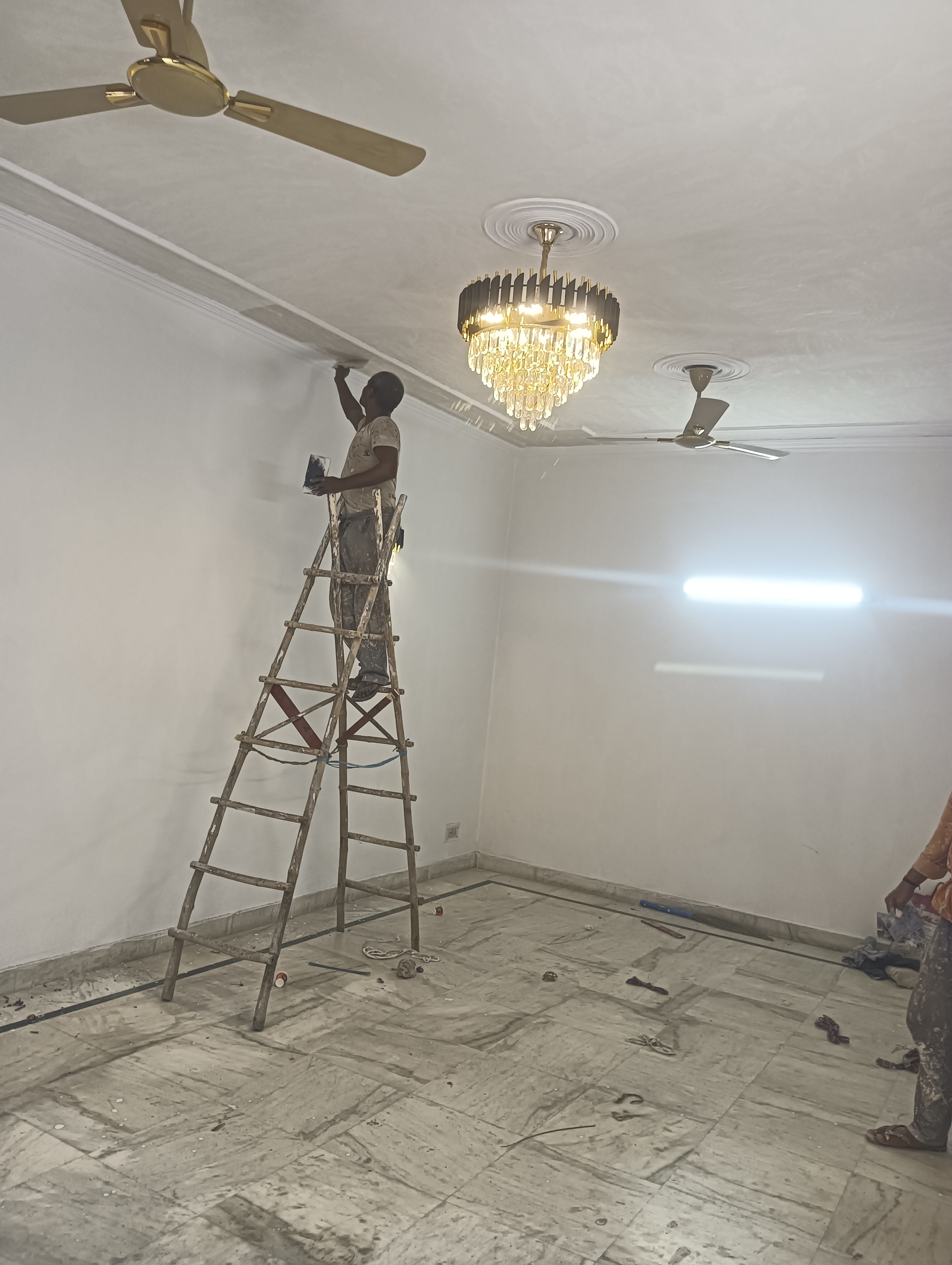 3 BHK + Pooja Room,Extra Room Builder Floor For Rent in M Block