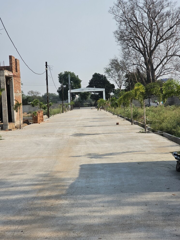 Exterior View, koni  1000 Sq.Ft. Plot In Koni Bilaspur 8664002