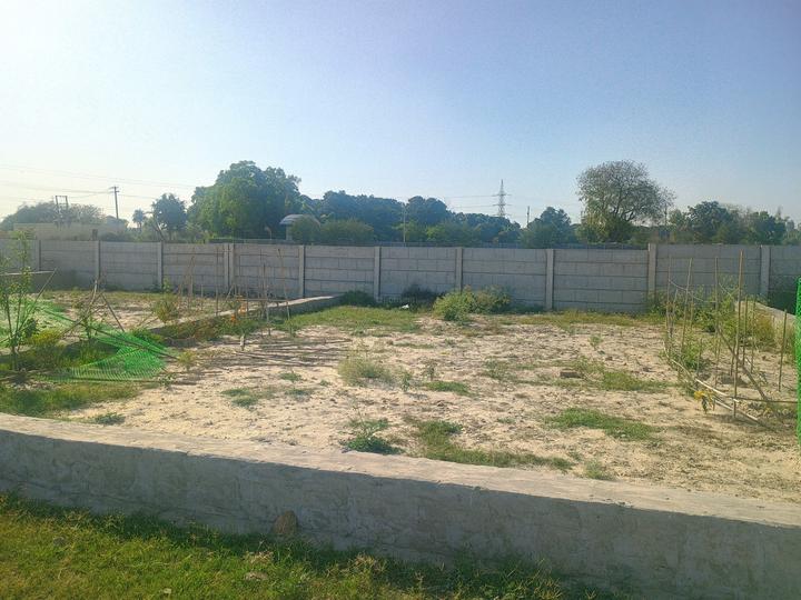 Plot For Sale in Sector 122