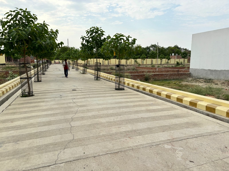 Plot For Sale in Newton Valley 