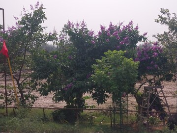  Plot – Exterior View View at Badheri Rajputan - for Sale