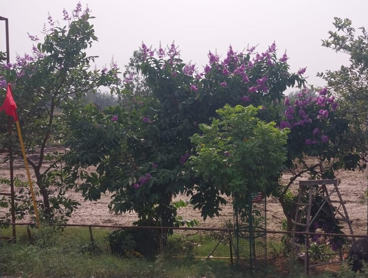 Exterior View, badheri rajputan  166 Sq.Yd. Plot In Badheri Rajputan Haridwar 8664662