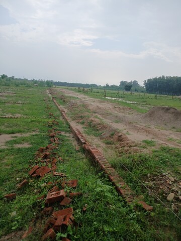 Plot Area in  Plot at Sector 67 – for Sale