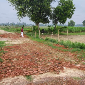 Plot Area in  Plot at Faizabad Road – for Sale