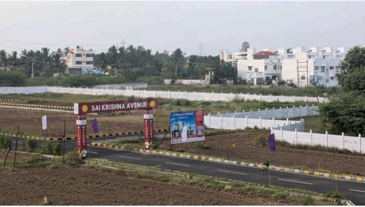 Plot For Sale in Pisoli