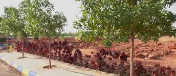 Plot Area in  Plot at Kothur – for Sale