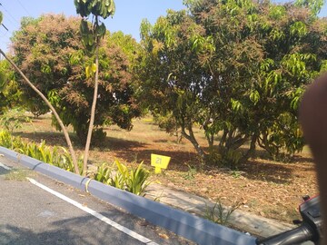  Plot For Sale in Kaggalipura