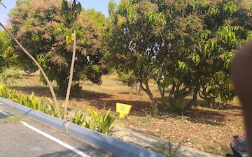Plot For Sale in Kaggalipura
