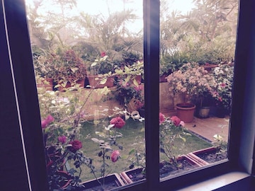 2 BHK Apartment – Garden View at Lodha Splendora, Ghodbunder Road - for Rent