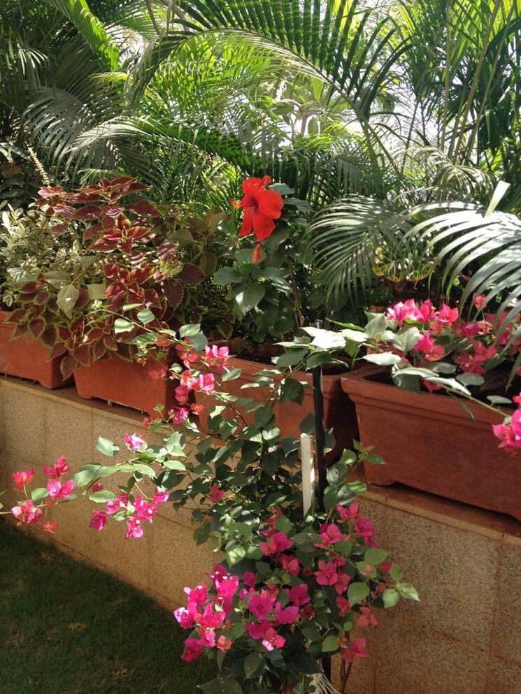 Garden, lodha-splendora 2 Bedroom 650 Sq.Ft. Apartment In Ghodbunder Road Thane 8666259
