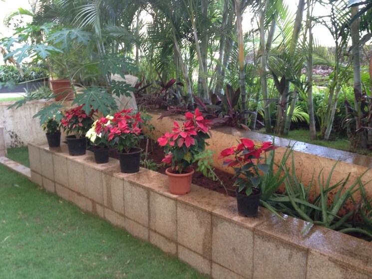 Balcony, lodha-splendora 2 Bedroom 650 Sq.Ft. Apartment In Ghodbunder Road Thane 8666259