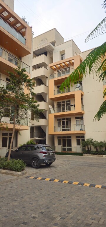 3 BHK Apartment For Sale in Kundli