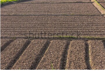  Plot – Garden View at Sultanpur - for Sale