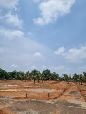  Plot For Sale in Malampuzha Road