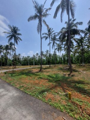 Plot Area in  Plot at Malampuzha Road – for Sale