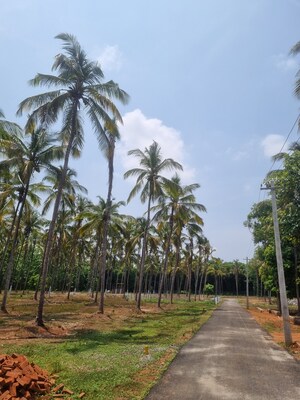  Plot – Exterior View View at Malampuzha Road - for Sale