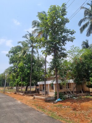  Plot – Exterior View View at Malampuzha Road - for Sale