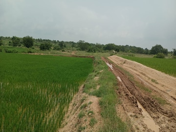 Plot Area in  Plot at Kandgul – for Sale
