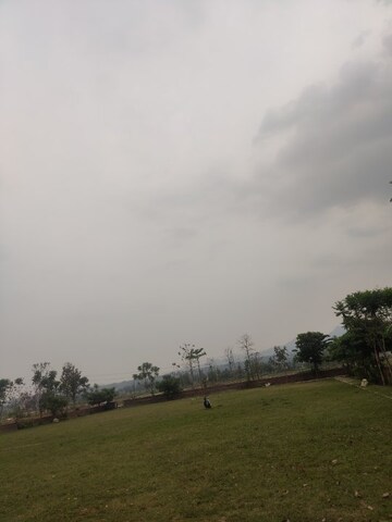 Plot Area in  Plot at Shimla Bypass Road – for Sale