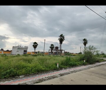 Plot Area in  Plot at Ringnodiya – for Sale