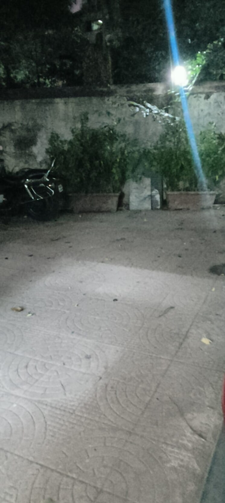 Exterior View, sita-vihar-chs Commercial Office Space 500 Sq.Ft. In Naupada Thane 8668968