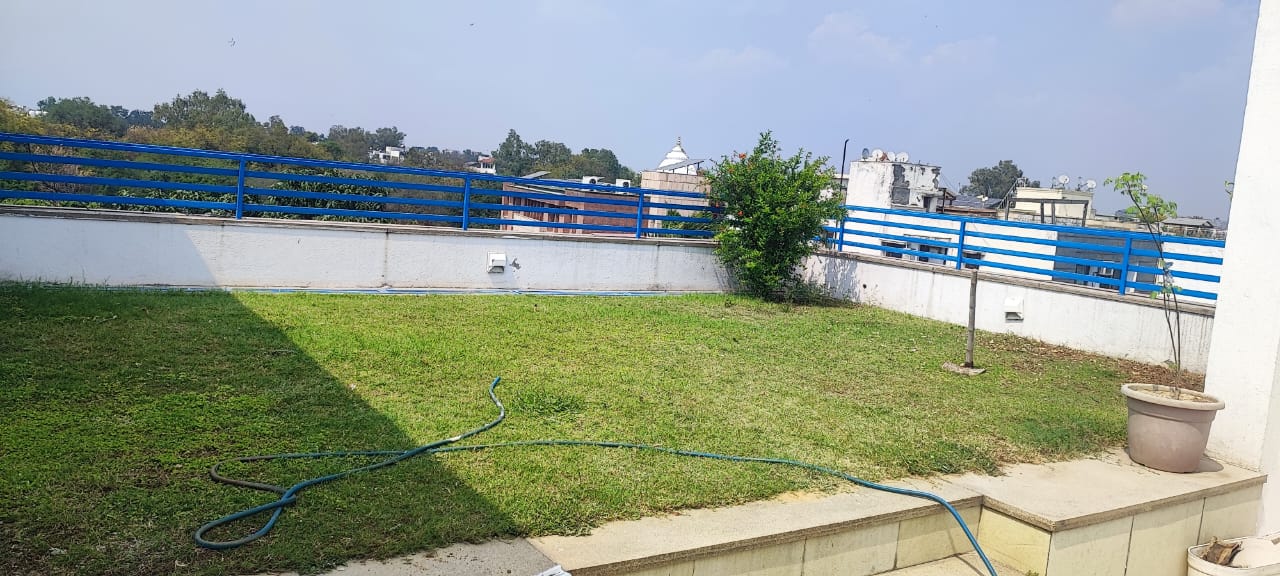 4 BHK + Servant Room Builder Floor For Rent in Hauz Khas Enclave 